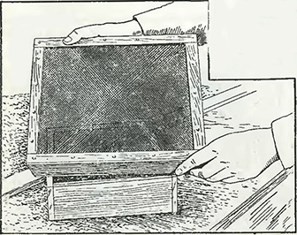 Рисунок 1. Засыпка семян землёй