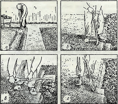 Рисунок 1. Обычная перекопка почвы