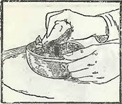 Рисунок 1. Болезни луковиц