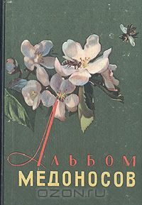 М. М. Глухов / Альбом медоносов / Цветки многих культурных и диких растений различных ...