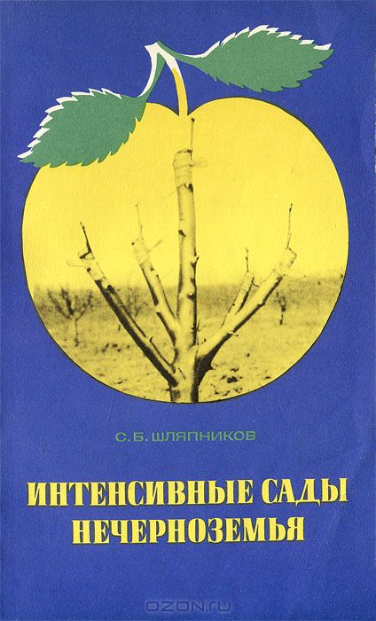 С. Б. Шляпников / Интенсивные сады Нечерноземья / Интенсификация садоводства — главный путь к высоким урожаям ...