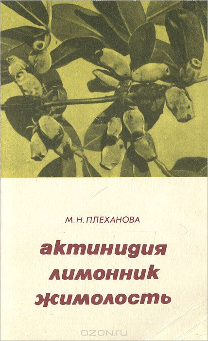 М. Н. Плеханова / Актинидия, лимонник, жимолость / В брошюре кратко рассмотрены биологические особенности новых ...