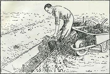 Рисунок 1. Заделка удобрений Рисунок 1. Заделка удобрений